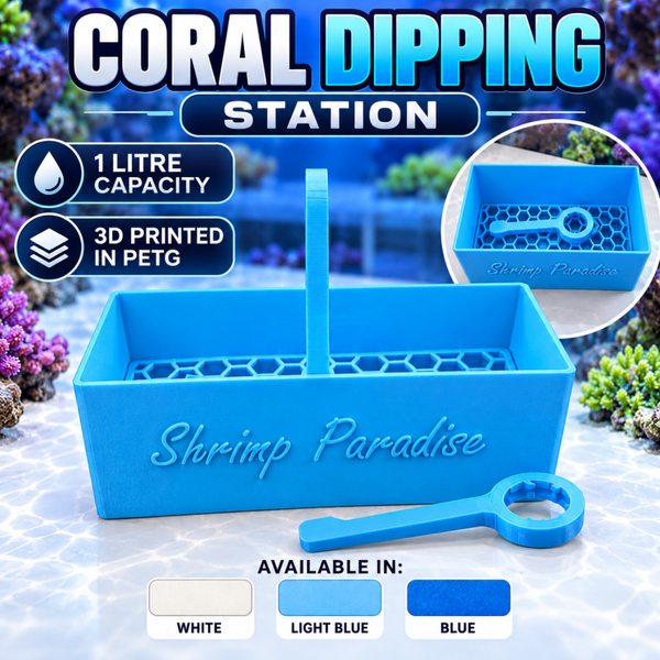 1L Coral Dipping Station – 3D Printed PETG – Reef Aquarium Coral Dip Tray