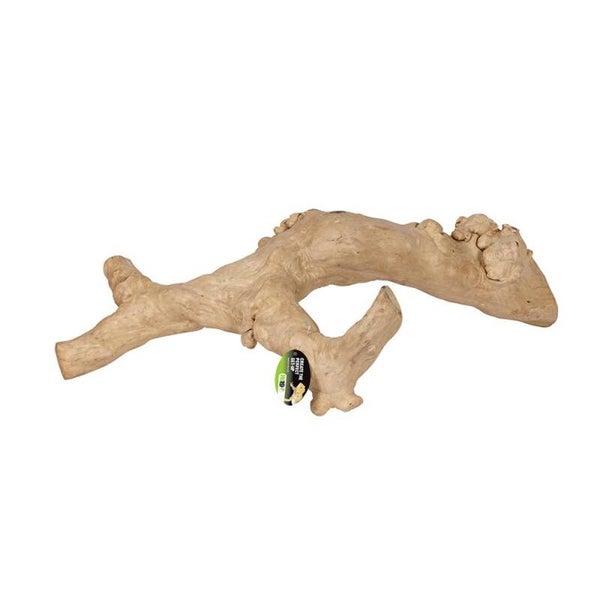 PR Java Reptile Branch, Large