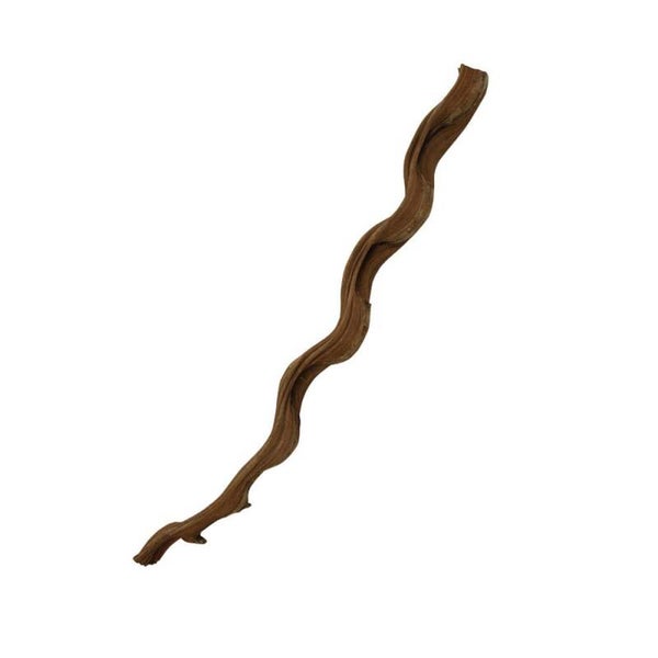 PR Natural Snake Vine, 120cm