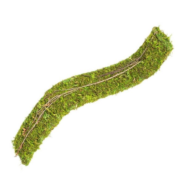 RZ Natural Moss Flex Bridge, Small, 51×7.5x2cm