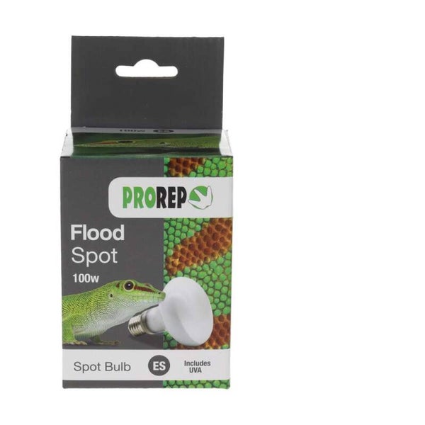 PR Flood Spot Lamp 100w ES