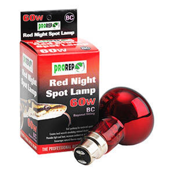 PR Infrared Spot Lamp 60w BC