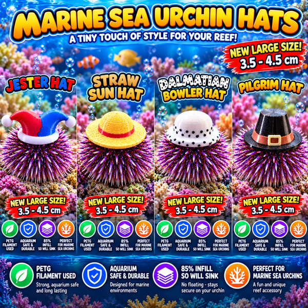 3D Printed Marine Sea Urchin Hats – Jester, Sun Hat, Dalmatian & Pilgrim – NEW LARGE SIZE