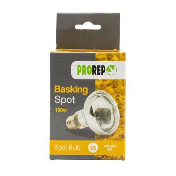 PR Basking Spot Lamp 100w BC