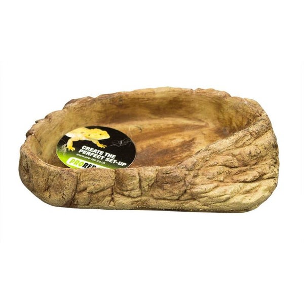 PR Tortoise Pool Small, WPE300