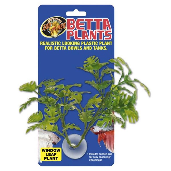 ZM Betta Plant Window Leaf, BP-25