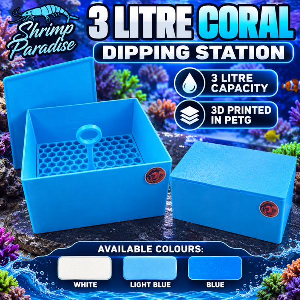 3L Coral Dipping Station Reef Aquarium Coral Dip Tray 3D Printed PETG