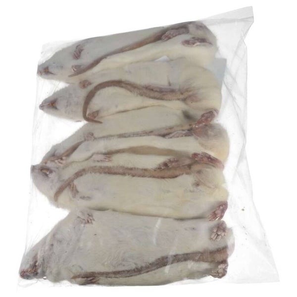 PLT Frozen Rat Ex-Breeder 500g, 5 Pack (Ltd Qty)