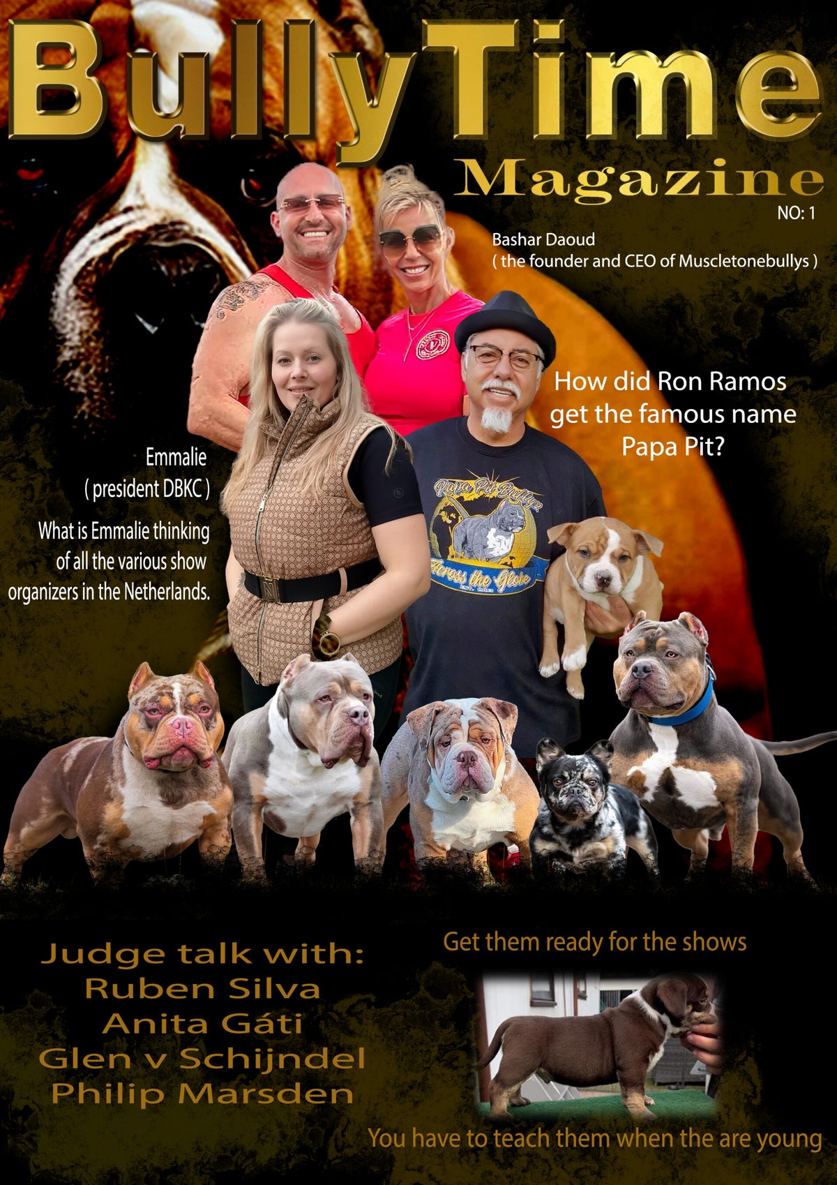 AMERICAN BULLY / Rassen | DBKC - Dutch Bully Kennel Club