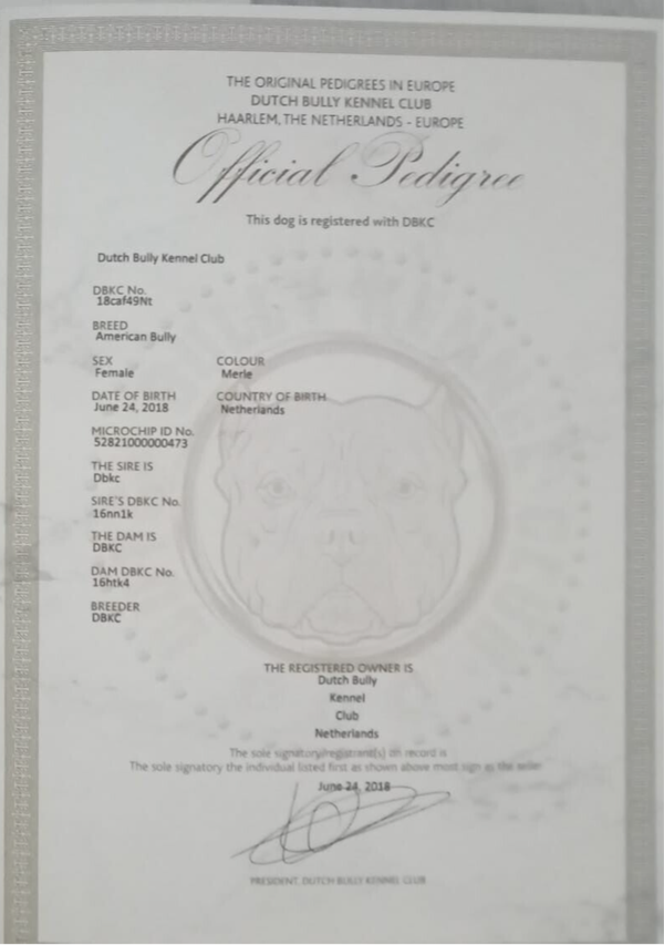 Eigenaar hond aanpassen