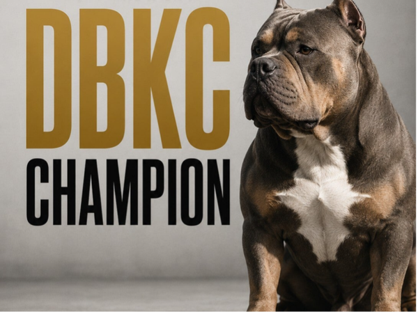 Champion round