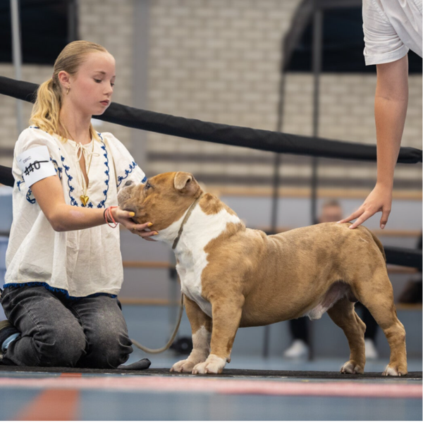 Best junior handler