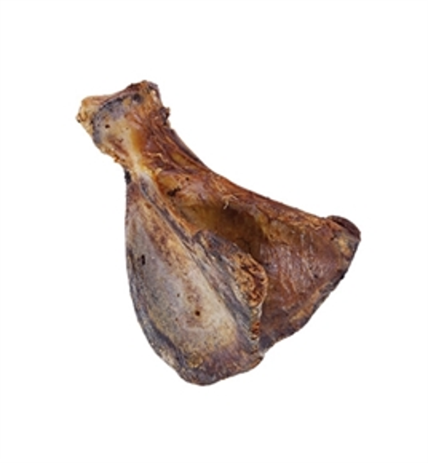 Schouderblad