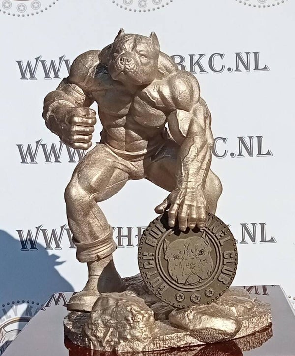 Bully bodybuilder
