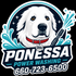 Ponessapowerwashing
