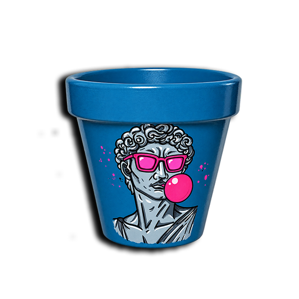 Maceta David