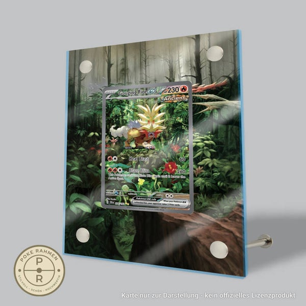 TEF 204 - digitaler Kartenrahmen mit erweitertem Artwork