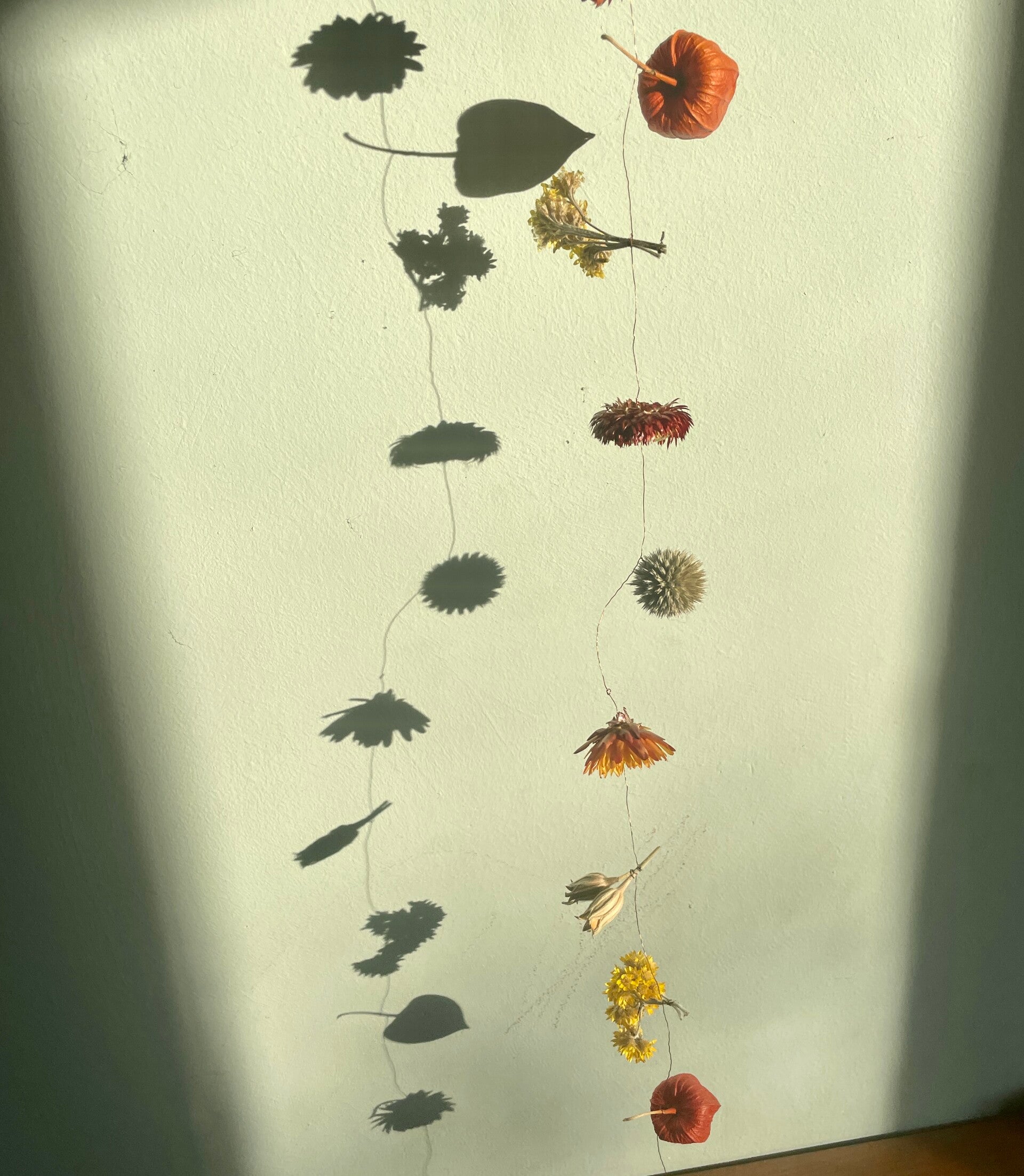 Bloemenslinger Gekleurd