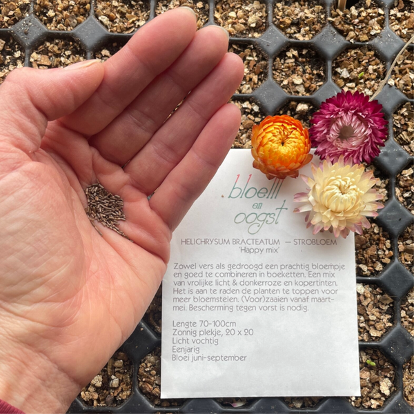 ZAAI je bloemen 2023