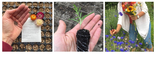 Combideal € 12,50 korting: PLANT + OOGST - ZAAI = 2023