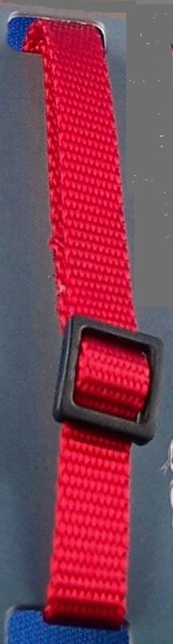 Halsband Nylon rot