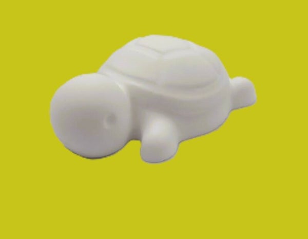 Schildkröte