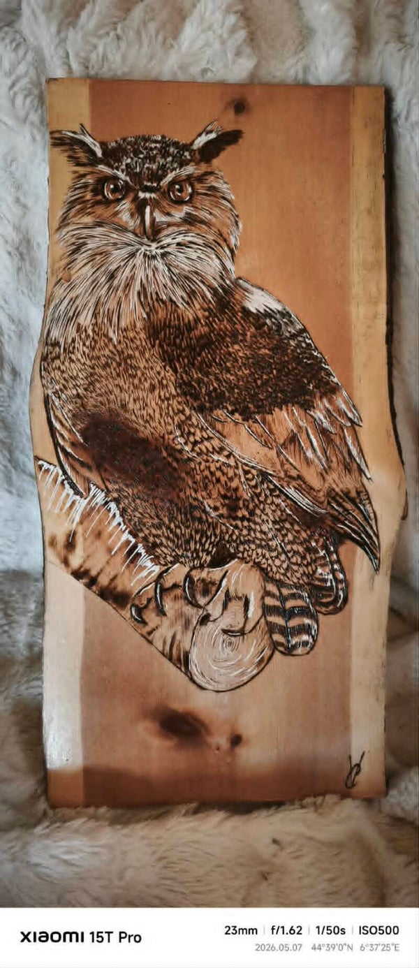 Hibou