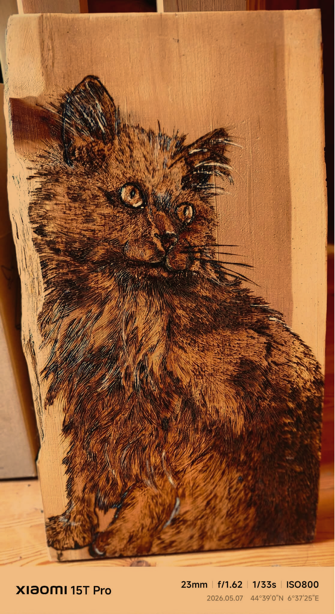 Portrait chat