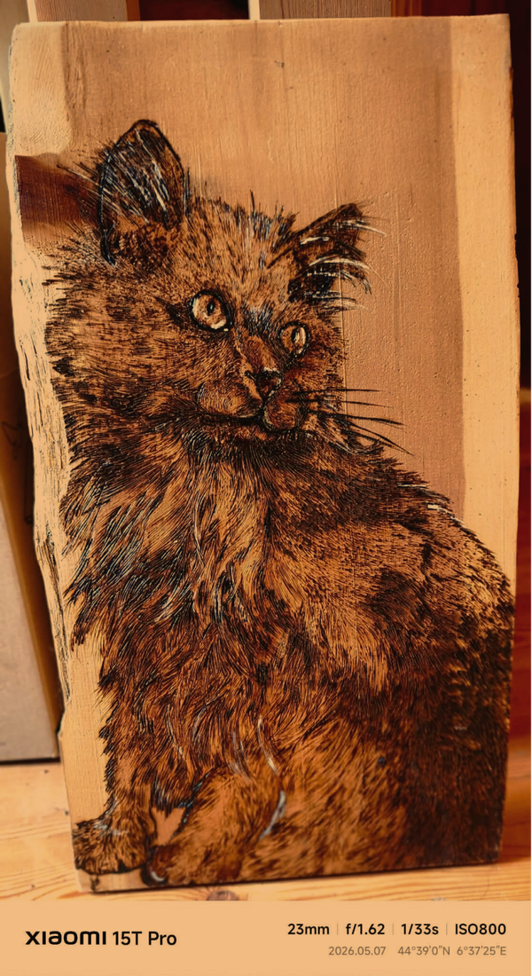 Portrait chat