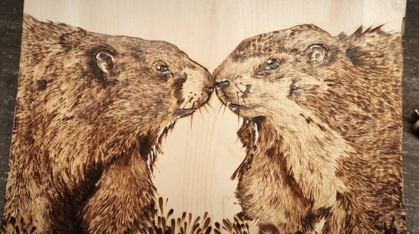 Marmottes