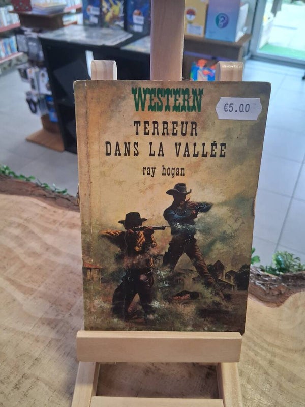 Western - Terreur Dans La Vallée Livre