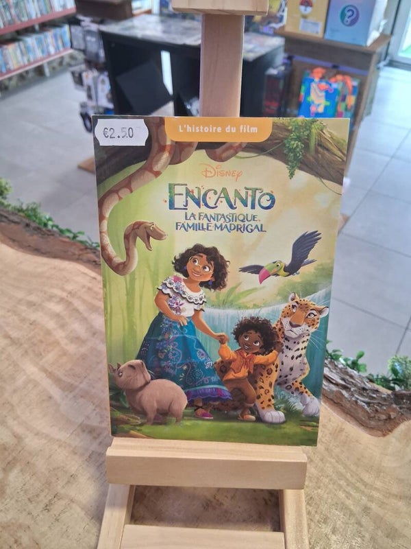 Encanto La Fantastique Famille Madrigal Livre