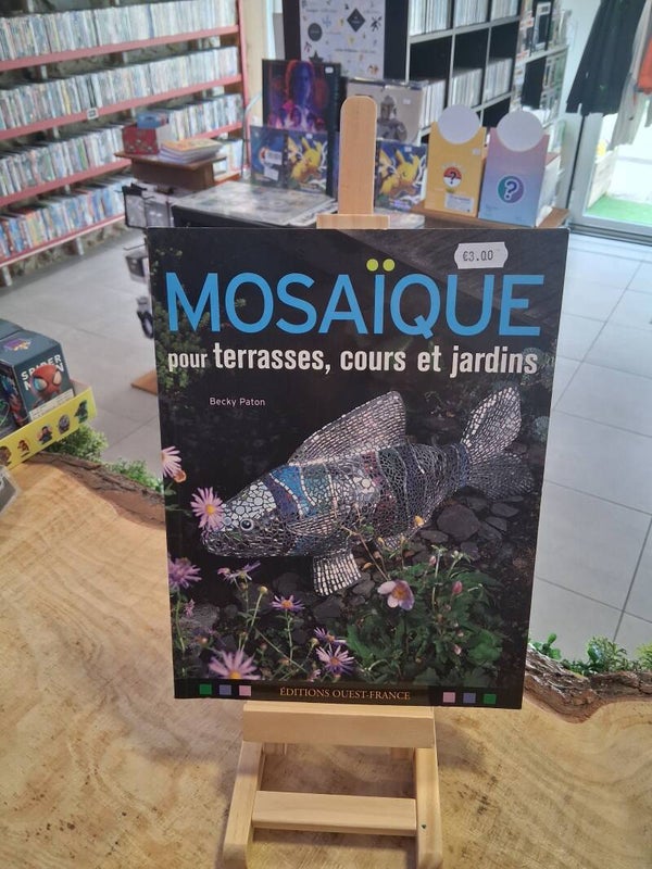 Mosaique Pour Terrasses Cours Et Jardins Livre