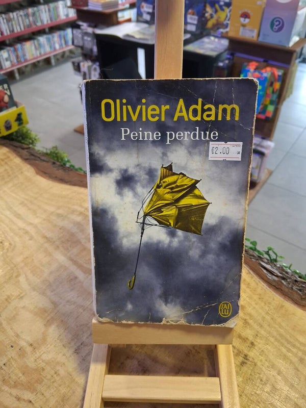 Olivier Adam - Peine Perdue Livre