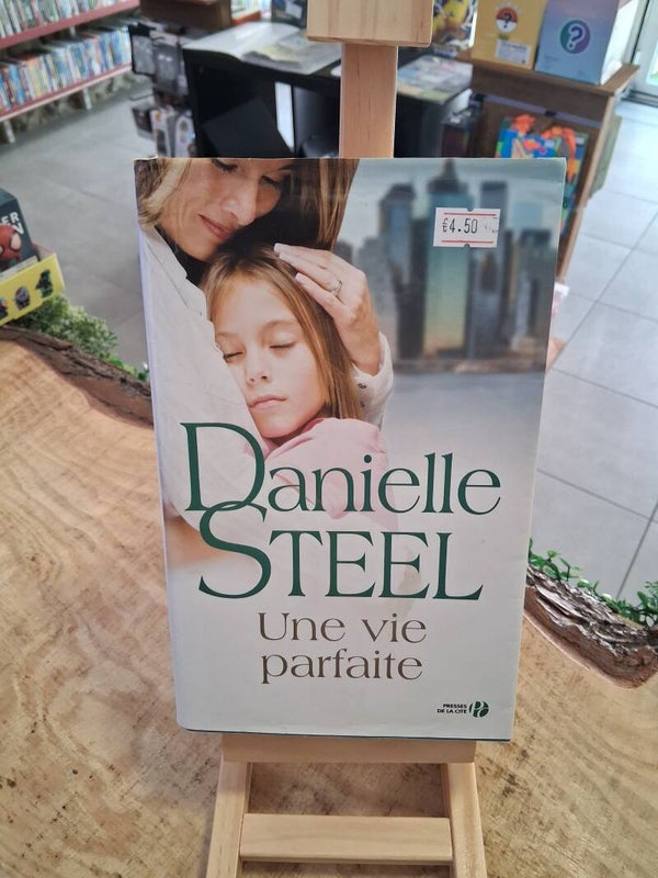 Danielle Steel - Une Vie Parfaite Livre
