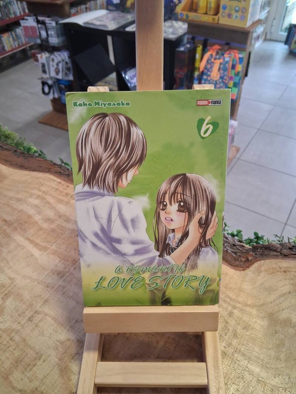 A Romantic Love Story Tome 6