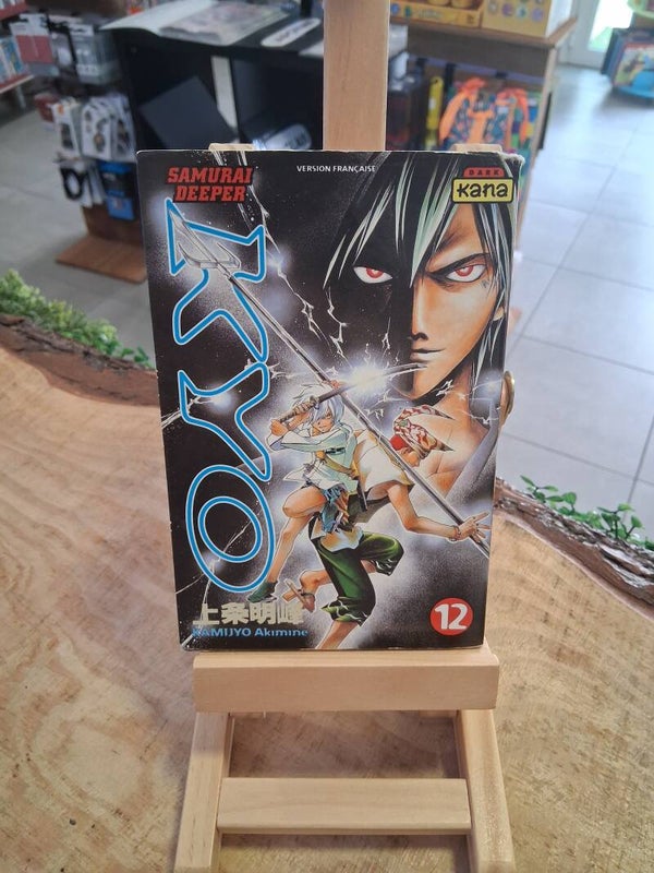 Samurai Deeper Kyo Tome 12
