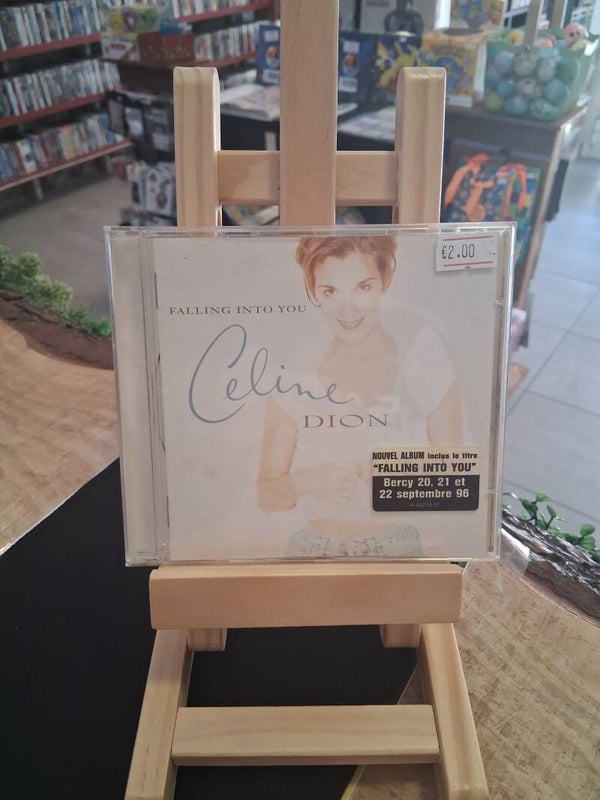 Celine Dion : Falling Into You CD