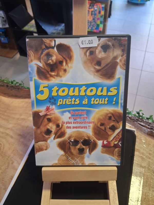 5 Toutous Prets A Tout DVD