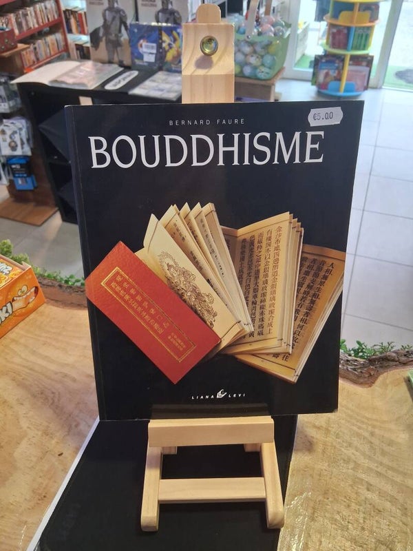 Bernard Faure : Bouddhisme Livre