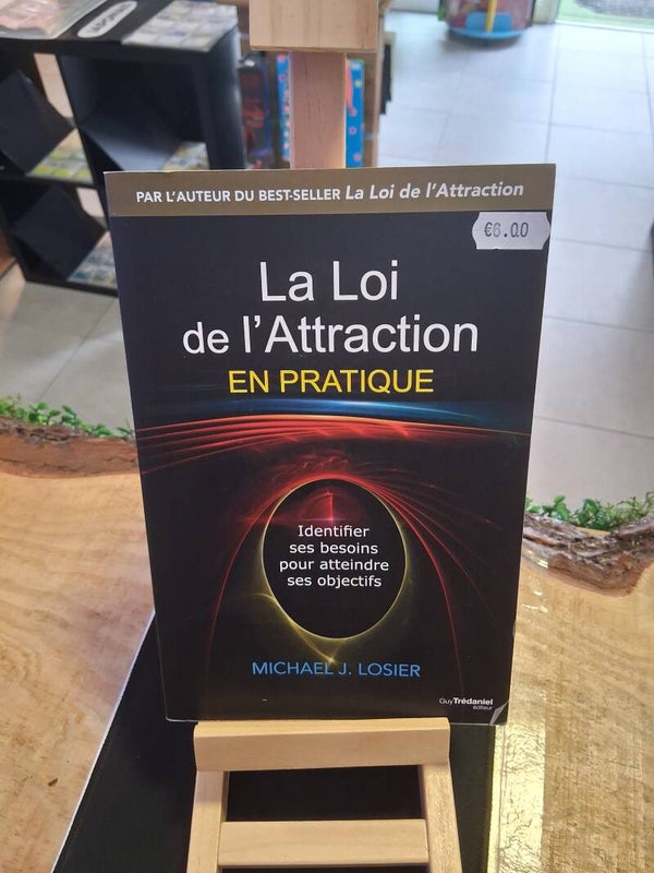 La Loi De L'Attraction En Pratique : Michael J. Losier Livre