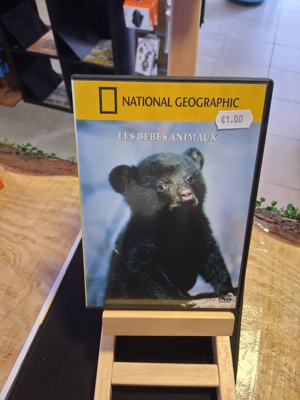 National Geographic : Les Bebes Animaux DVD