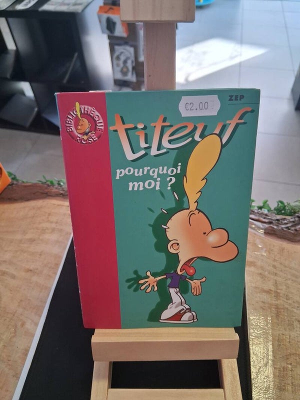 Titeuf Pourquoi Moi Livre Enfant