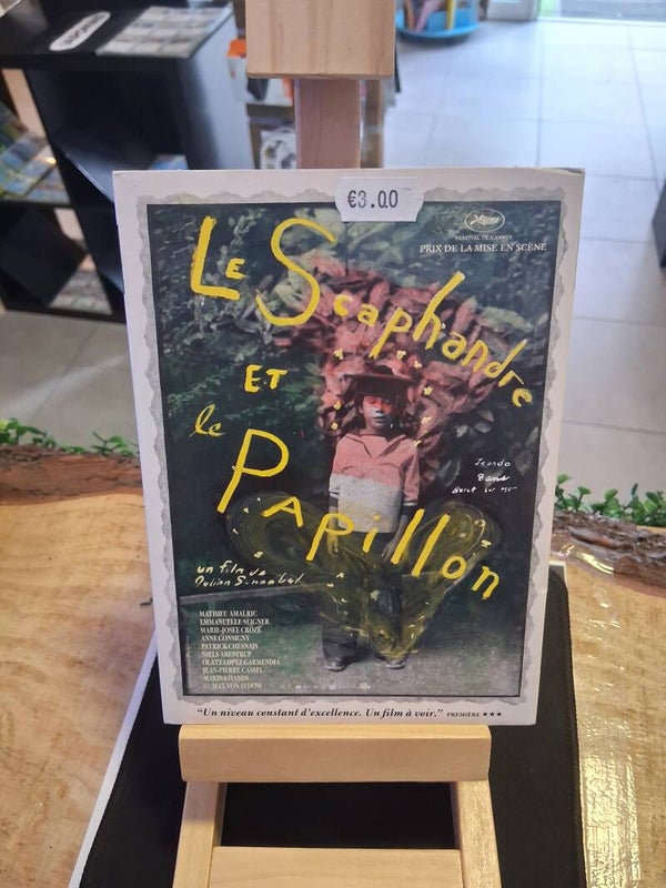 Le Scaphandre Et Le Papillon DVD