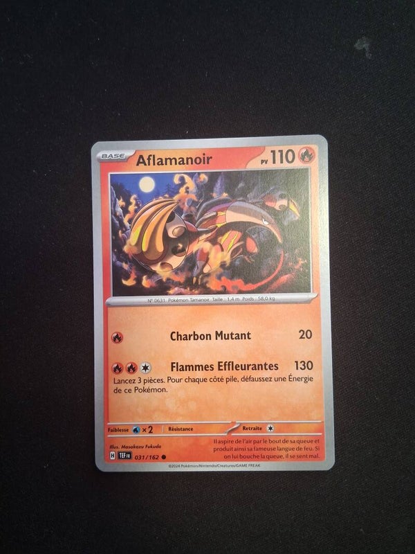 Aflamanoir 110-1