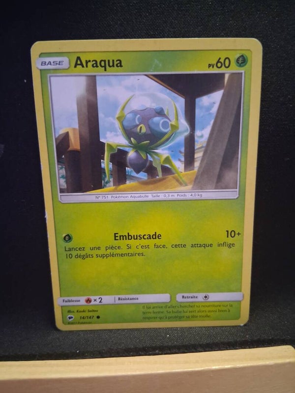 Araqua 60-1