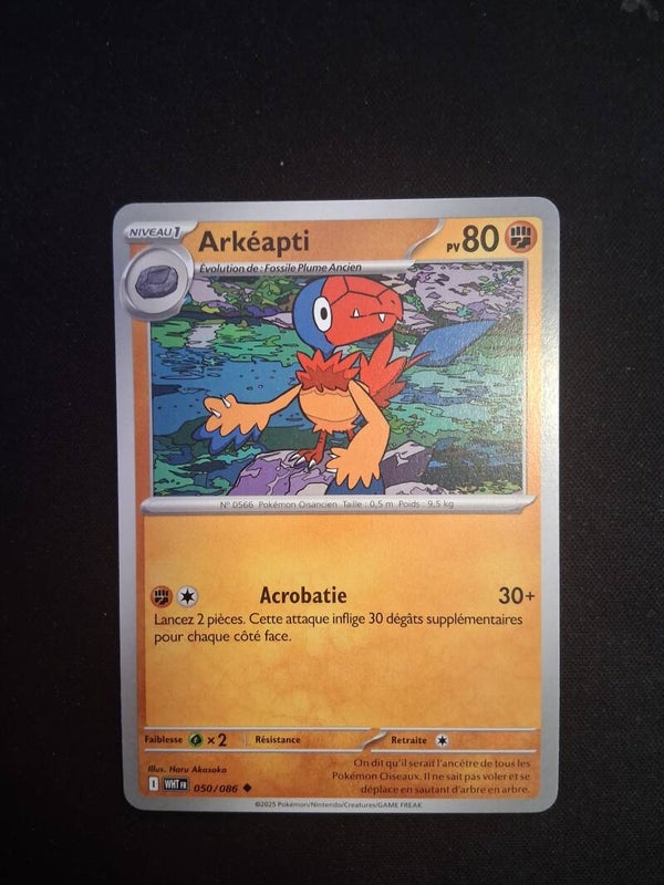 Arkeapti 80-1