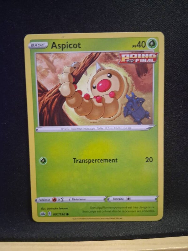 Aspicot 40-1
