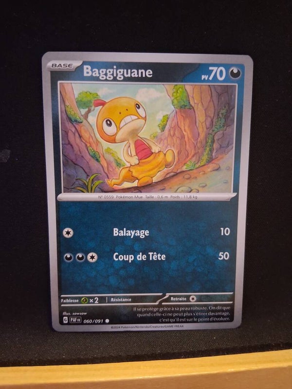 Baggiguane 70-1