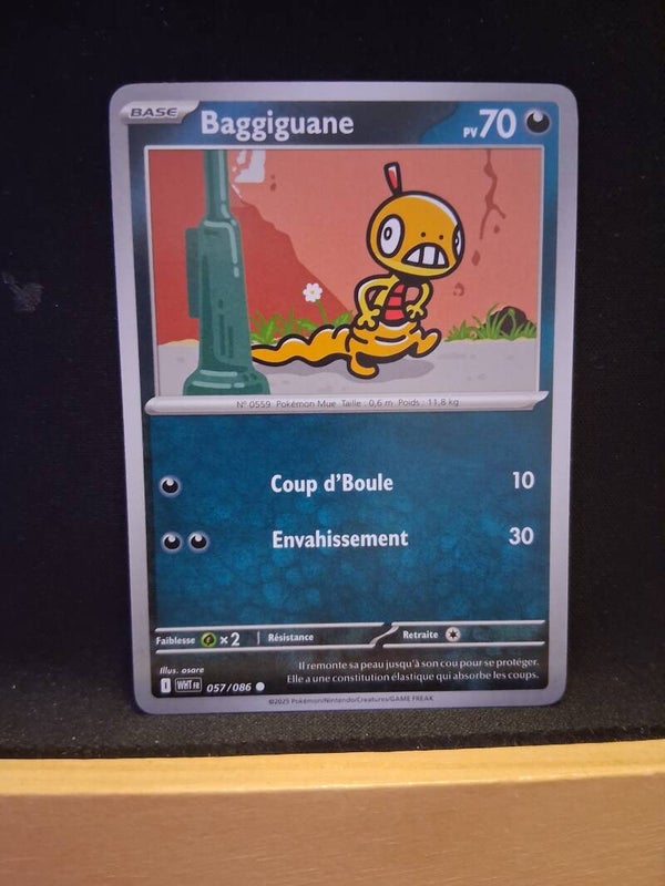 Baggiguane 70-2